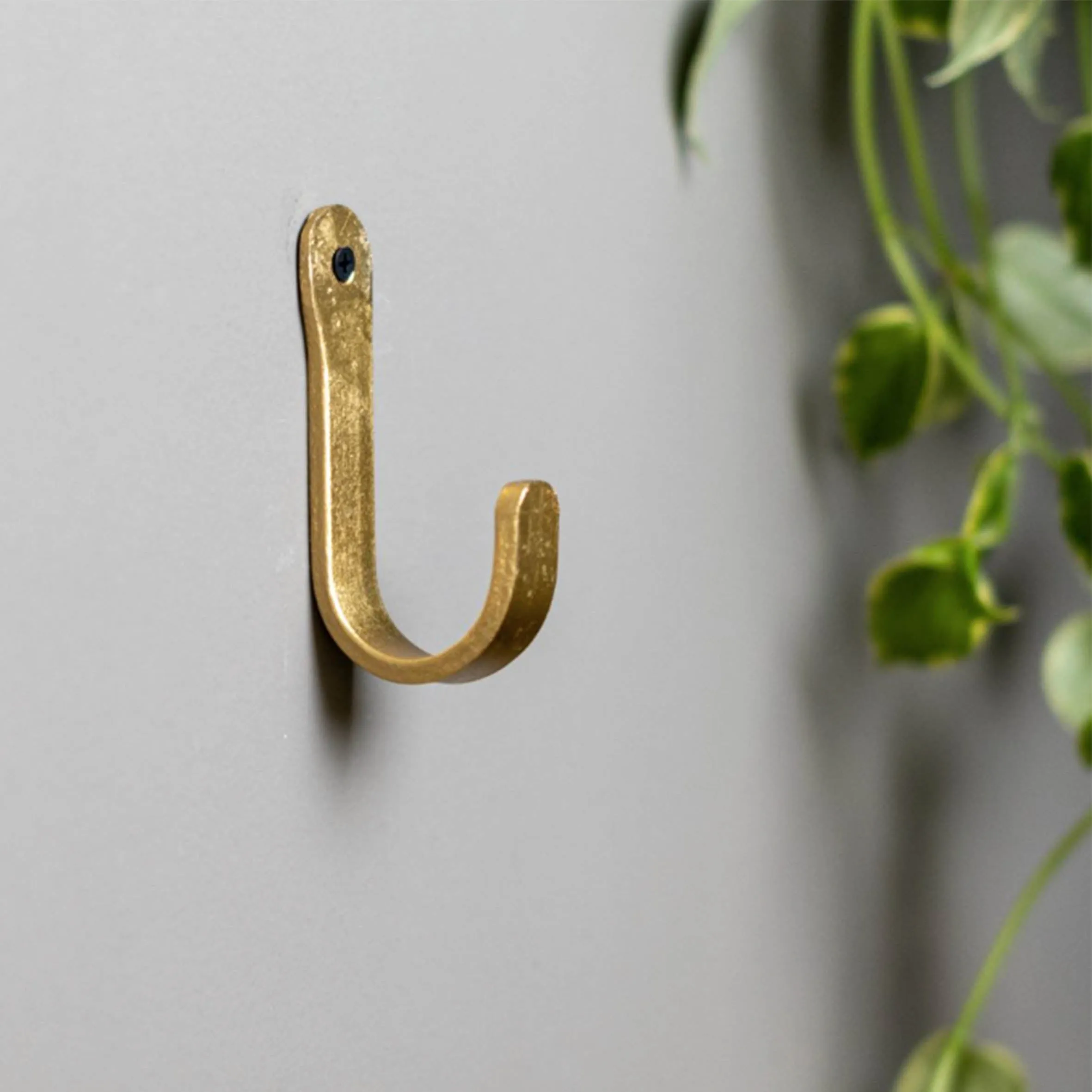 Coat Hook