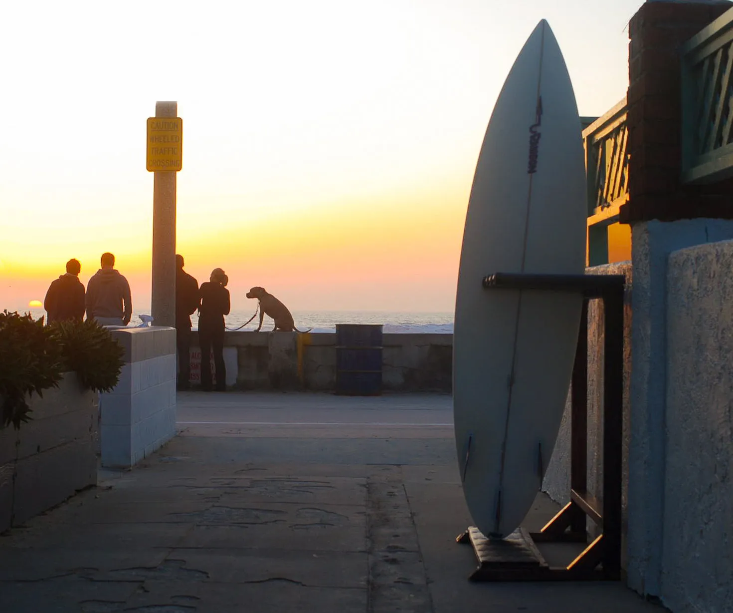 Foamy Surf Rack