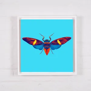 J&J Photo Art - Pumkin Cicada